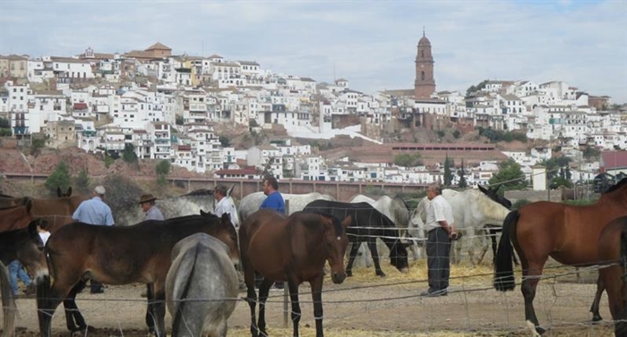 Feria de Ganado "Ciudad de Montoro"