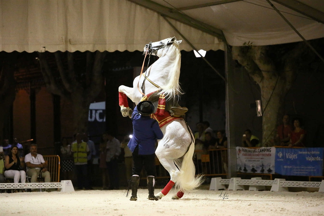 Concurso Morfológico y Funcional de la Ciudad de Andújar, Anducab