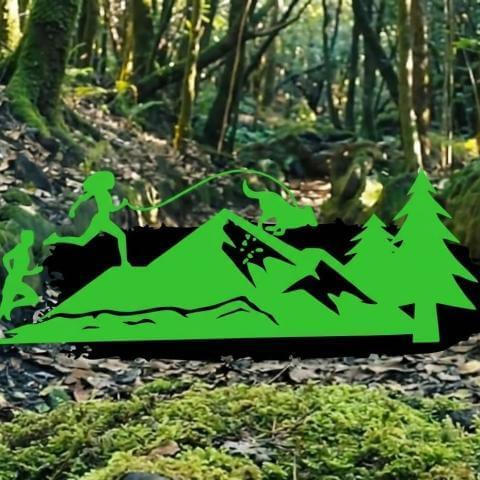 CMX Ravelo- El Sauzal