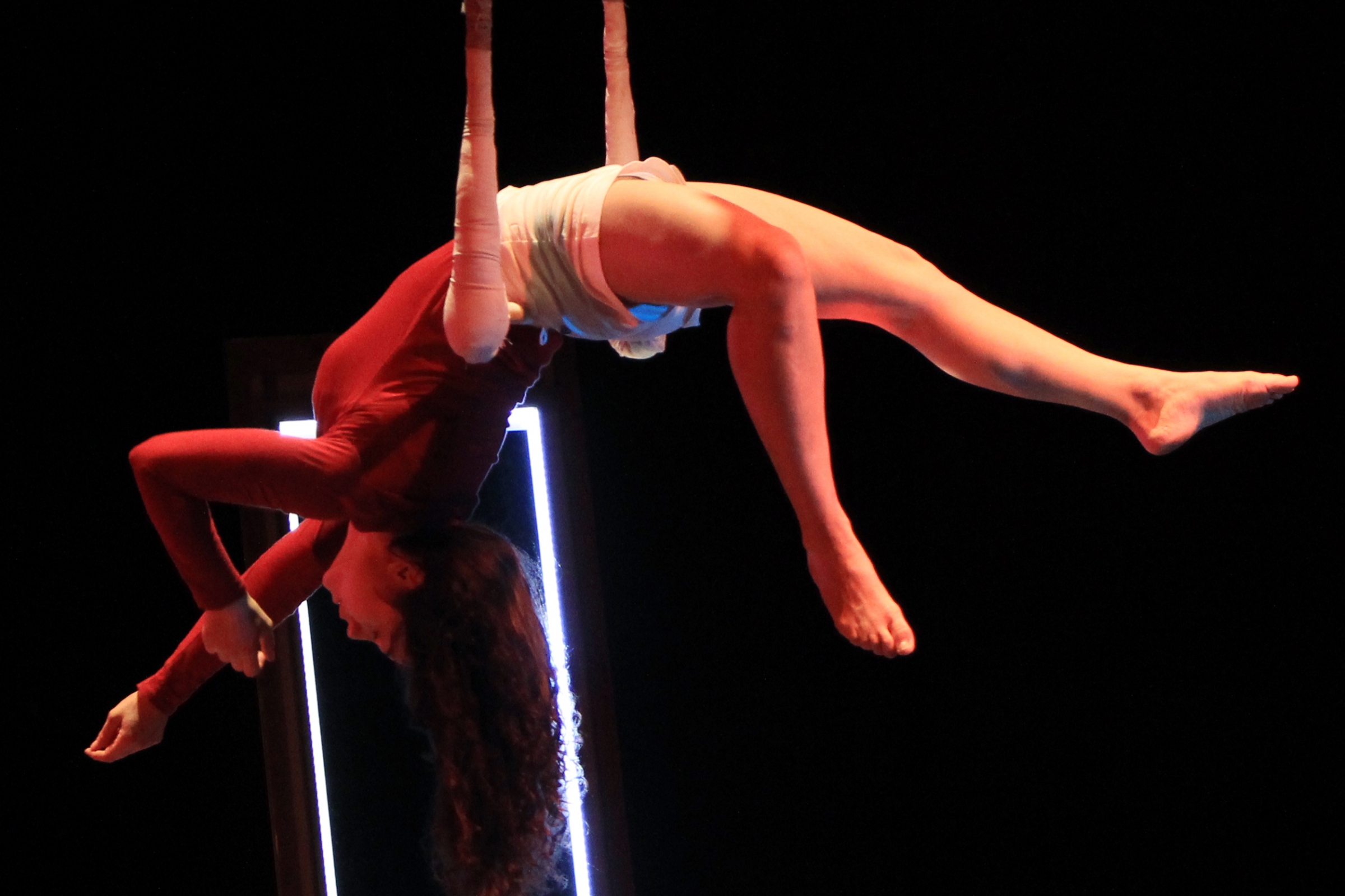 Gran gala de circo de Pistacatro