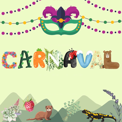 Carnaval de Llívia