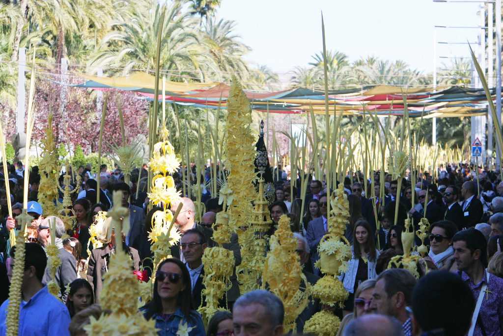 Domingo de Ramos en Elche