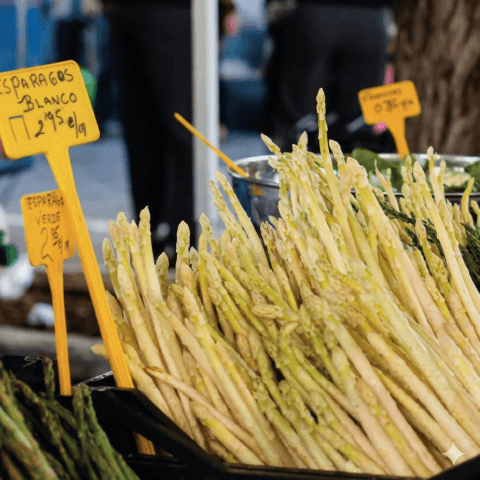Somos lo que comemos