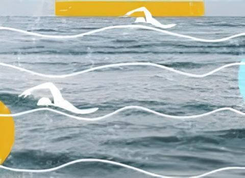 Travesía a nado Güímar