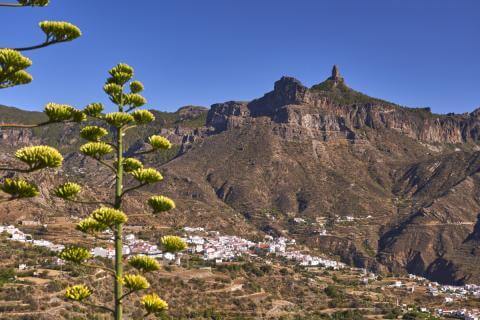 Fiestas de la Virgen de La Milagrosa