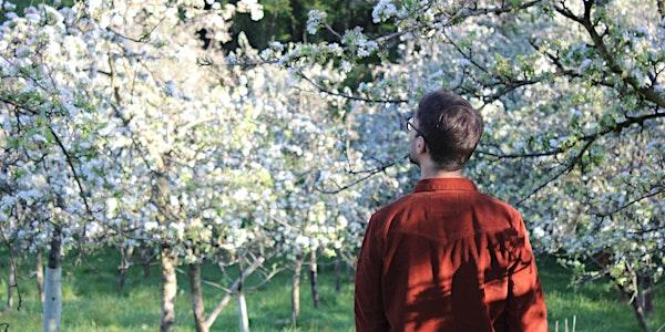 PASEANDO ENTRE MANZANOS EN PAISAJES YERBATOS