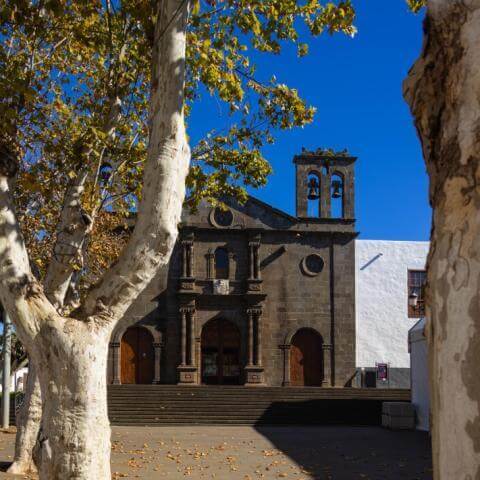 Fiestas Mayores de Tacoronte