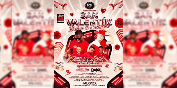 Salsa & Cantina festival de Dj's