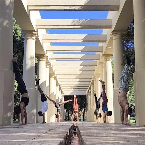 Handstand workshop - beginner/multilevel