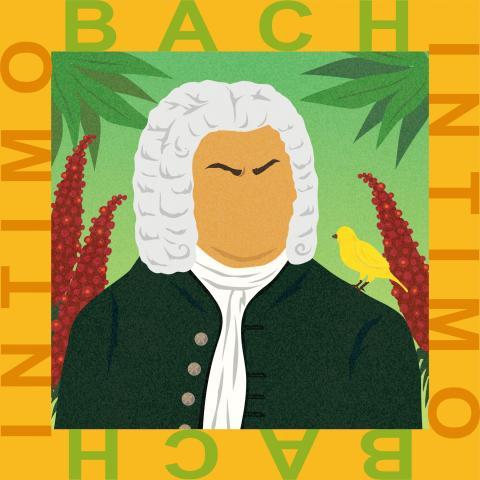 Bach Íntimo:  International Bach Festival