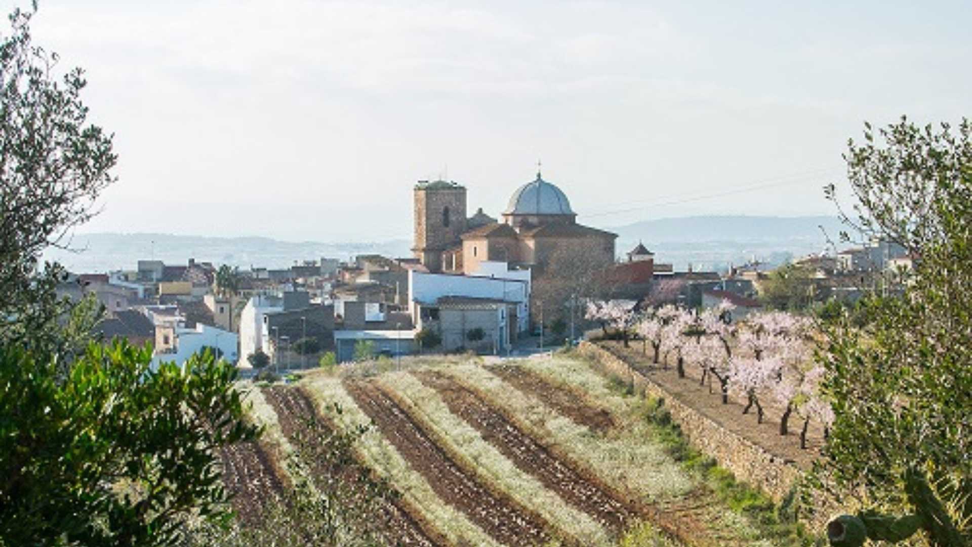 Programa de Actividades en Cabanes
