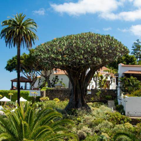 Fiestas de Santa Bárbara