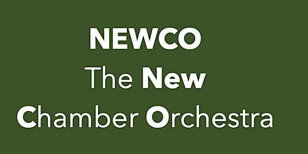 The NEWCO  - New Chamber Orchestra