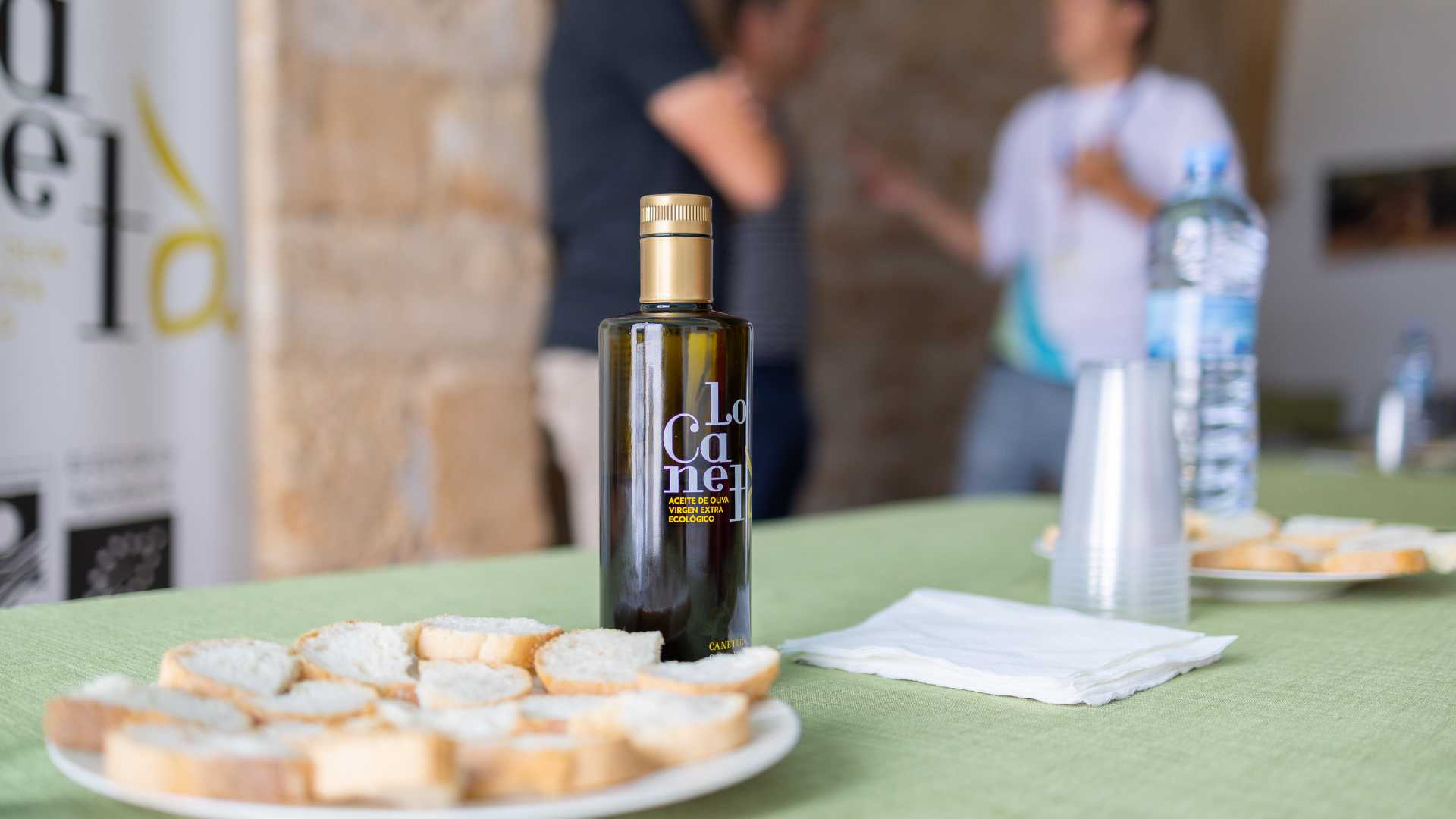 Experiencias: olivos mllenarios en Canet lo Roig