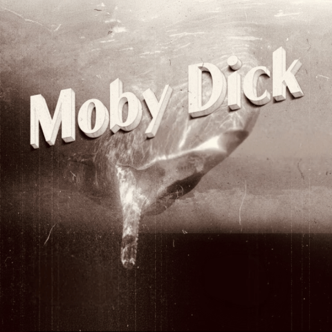 Exposición: Moby Dick y Las Palmas de Gran Canaria