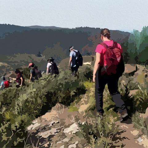 Juncalillo: Ruta interpretada