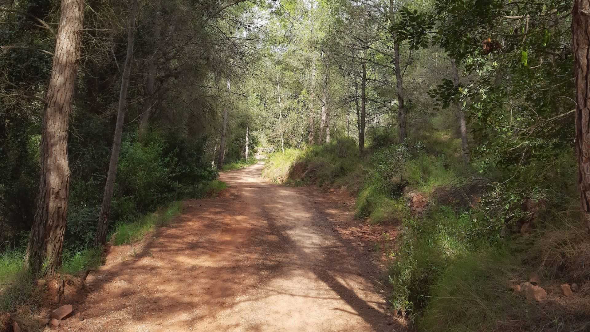 Ruta en familia por La Joquera: naturaleza y patrimonio en cada paso