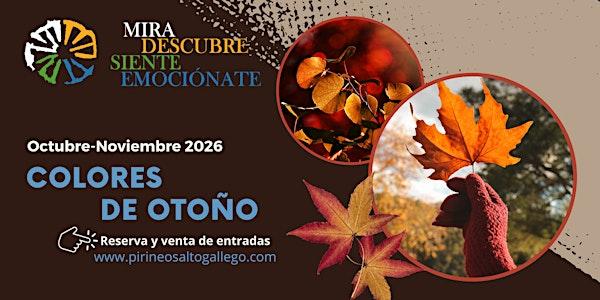 Visita Guiada Colores de Otoño, Un paseo por Yésero.