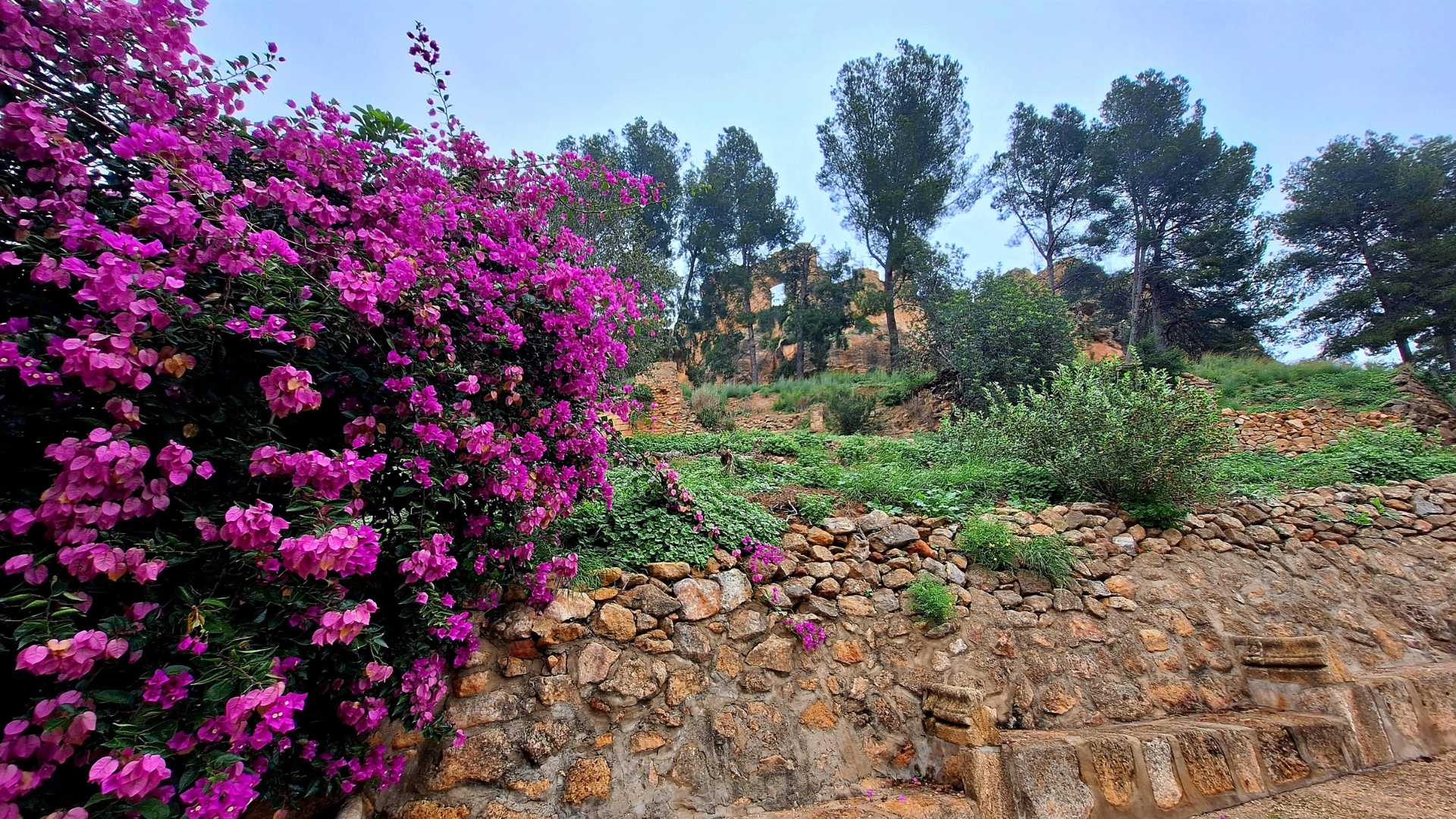 Visitas guiadas en Montesa