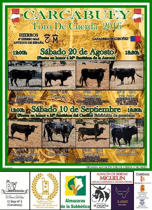 Toros de cuerda en Carcabuey