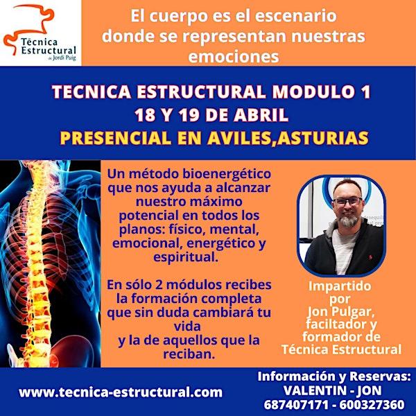 Curso Técnica Estructural Asturias Avi´lés