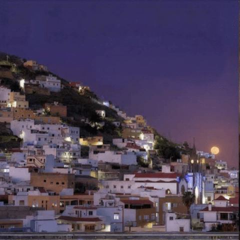 Fiesta de Montaña Cardones