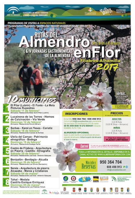 Rutas Almendro en Flor y Jornadas Gastrónomicas de la Almendra