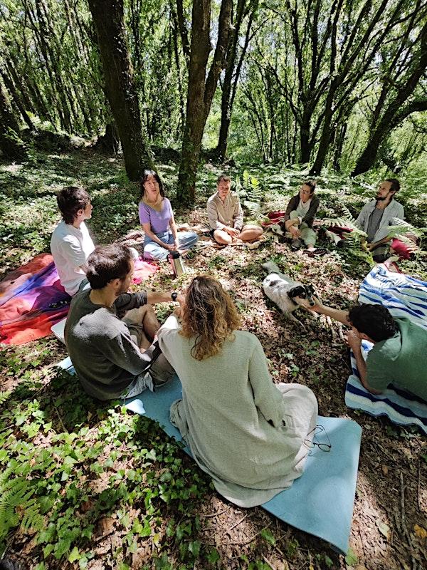 Forest Bathing / Baño de Bosque