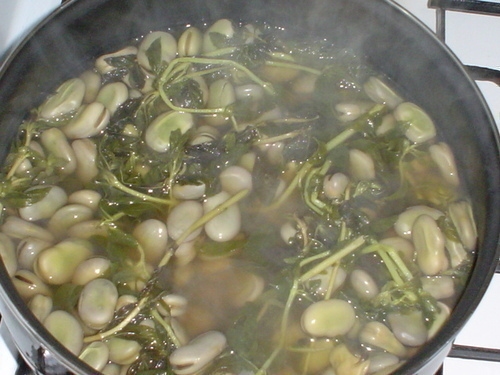 Muestra de Habas con Poleo