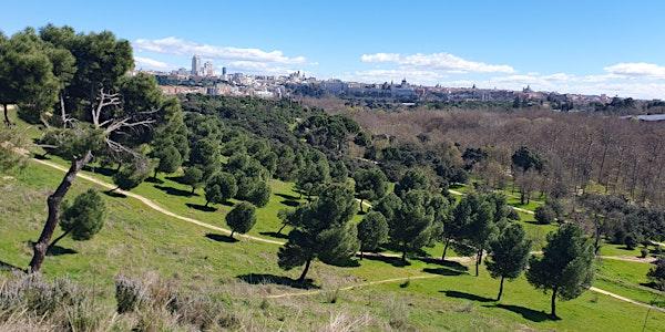 Paseo de primavera/ Spring walk