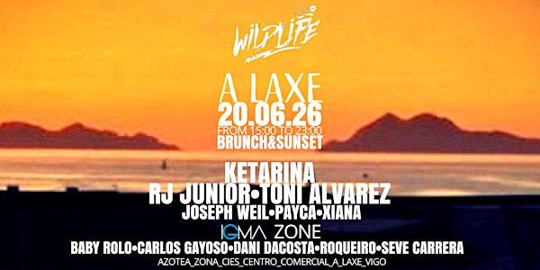Wildlife Brunch&Sunset WELCOME SUMMER w/ KETARINA