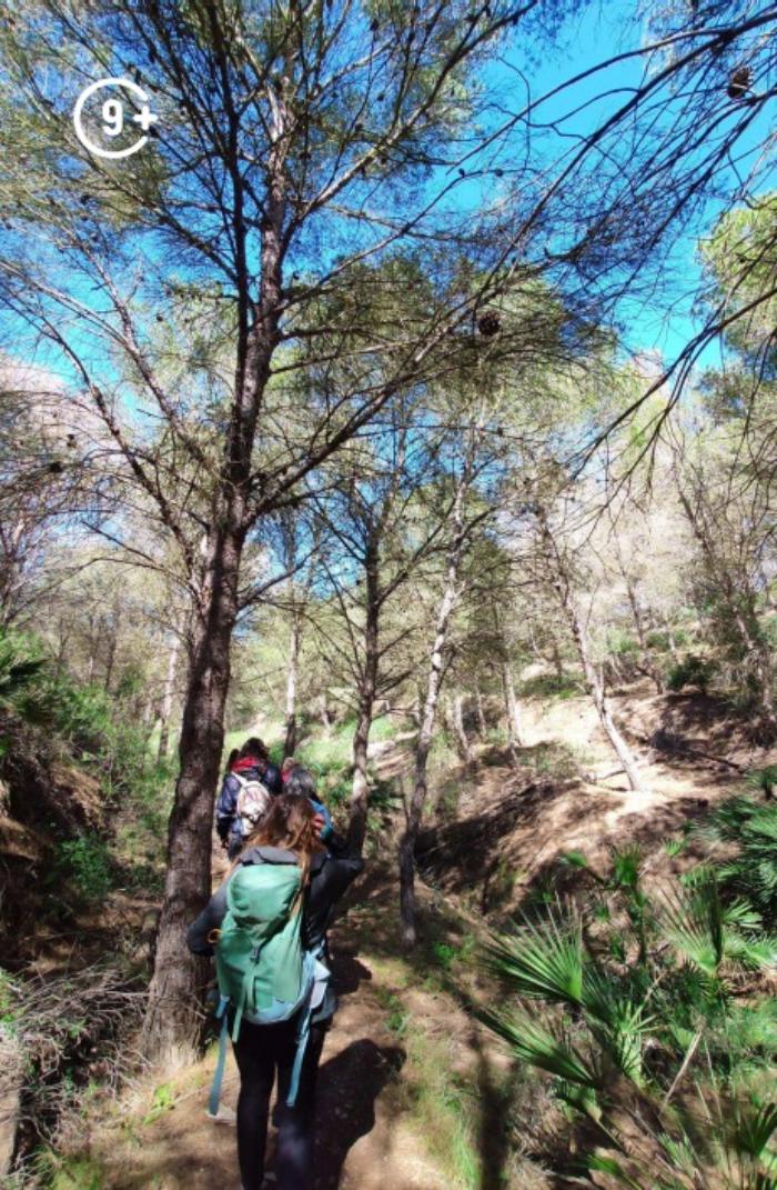 RUTA GUIADA SECRETOS ENTRE RAÍCES