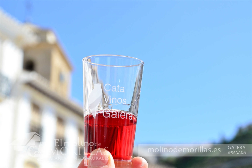 Cata de Vinos de Galera