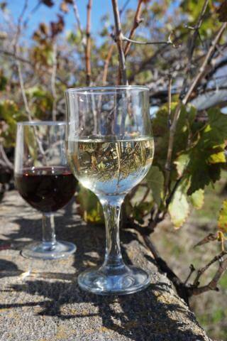 Fiesta de la Vendimia de Merese