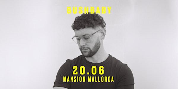 Mansion Mallorca presents Bushbaby Saturday 20/06
