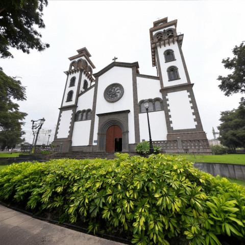 Fiestas Patronales de La Candelaria