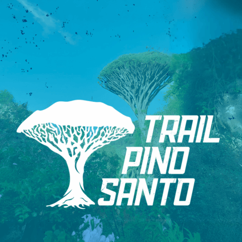 Trail Pino Santo