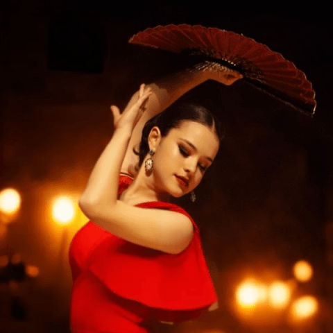 Flamenco entre dos tierras