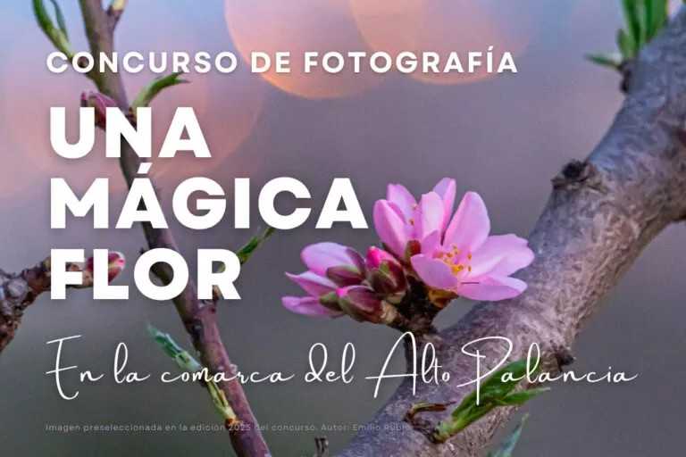 Concurso de fotografía “Una mágica flor en el Alto Palancia”