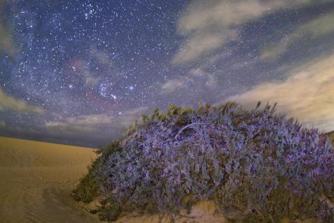 Lluvia de estrellas Perseidas