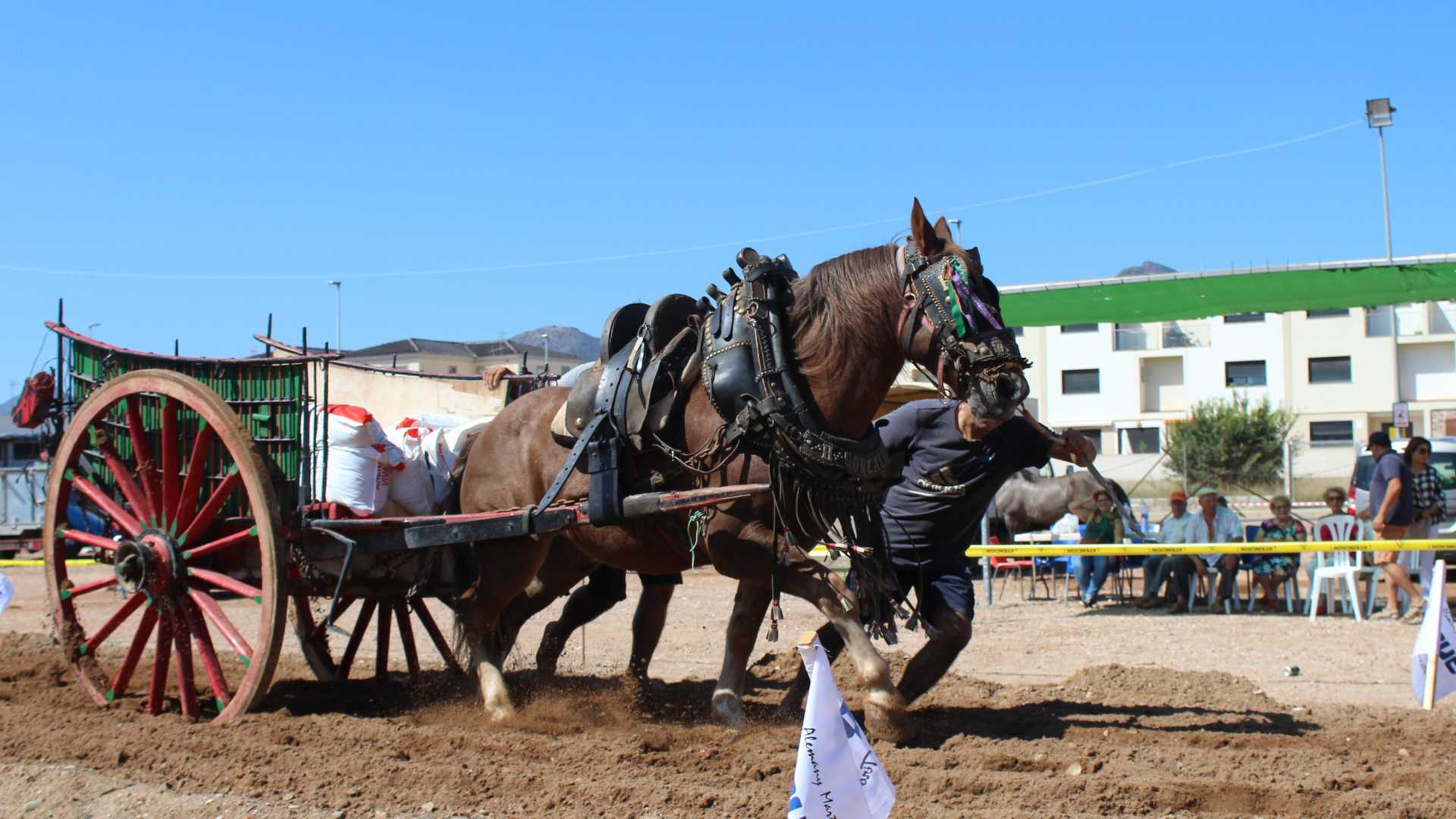 Fira de Ramaderia i Maquinària Agrícola de Nules