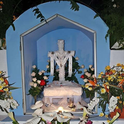 Fiesta Cruz del Gallo