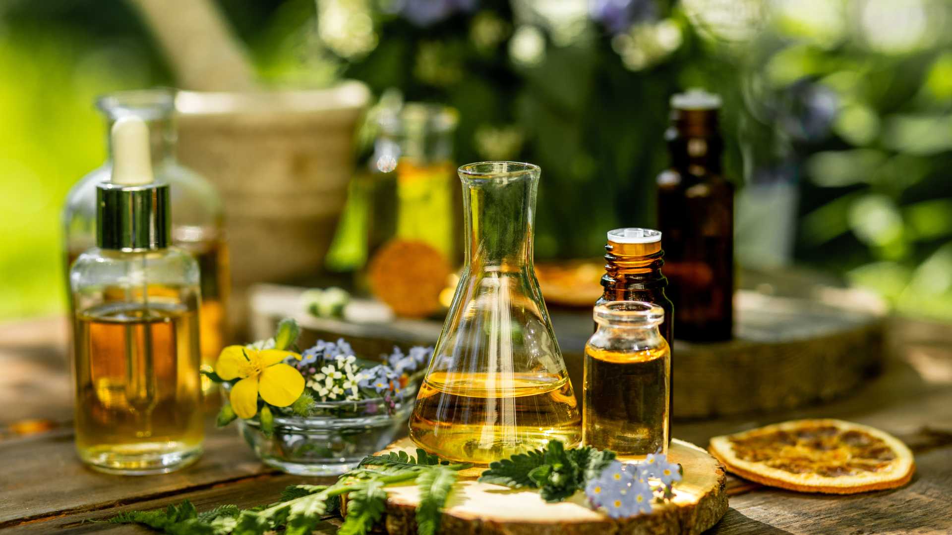 Elabora tu botiquín natural: actividad en Vallanca