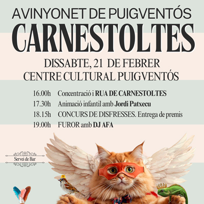 Carnestoltes d'Avinyonet de Puigventós