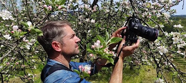 PASEANDO ENTRE MANZANOS EN TIERRAS MALIAYAS