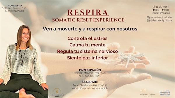 RESPIRA - Somatic Reset Experience