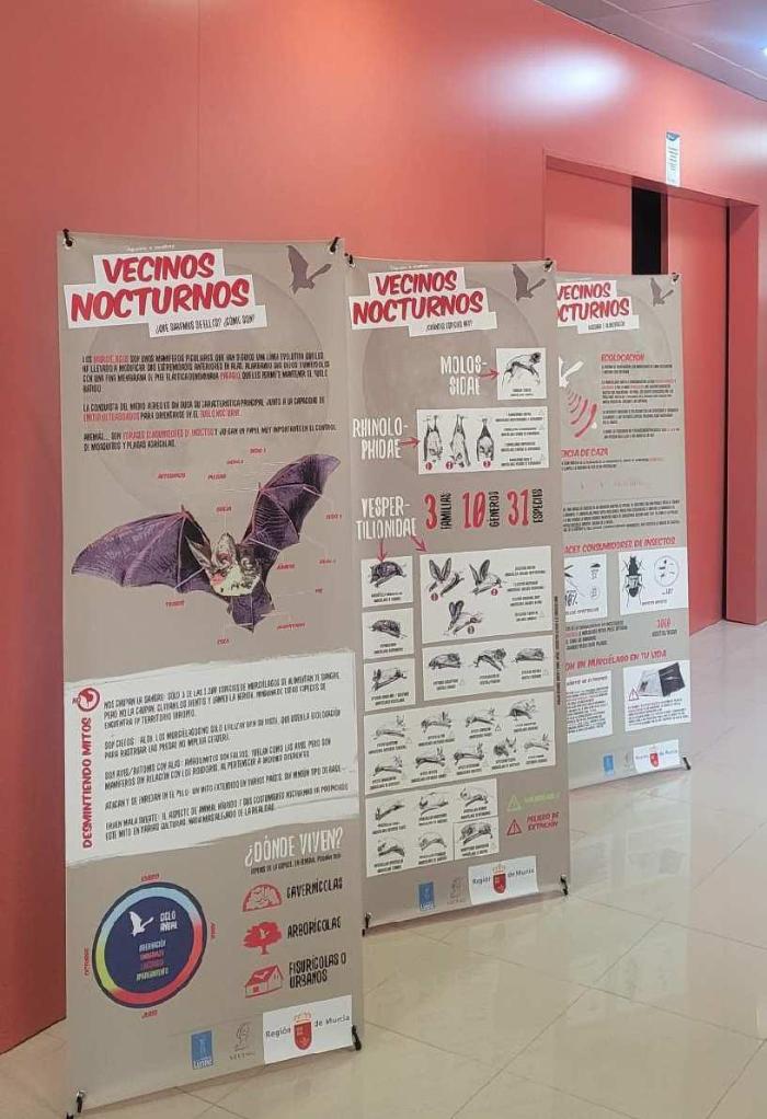 EXPOSICIÓN MURCIÉLAGOS: LOS GUARDIANES DE LA NOCHE
