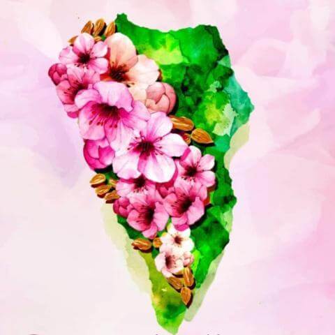 Fiesta del Almendro en Flor