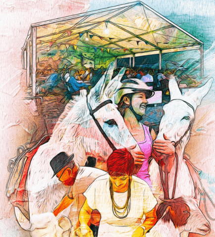 Fiestas del Aguapata