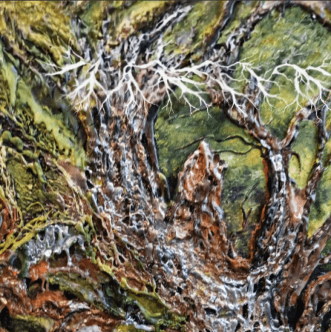 Exposición: Raíces